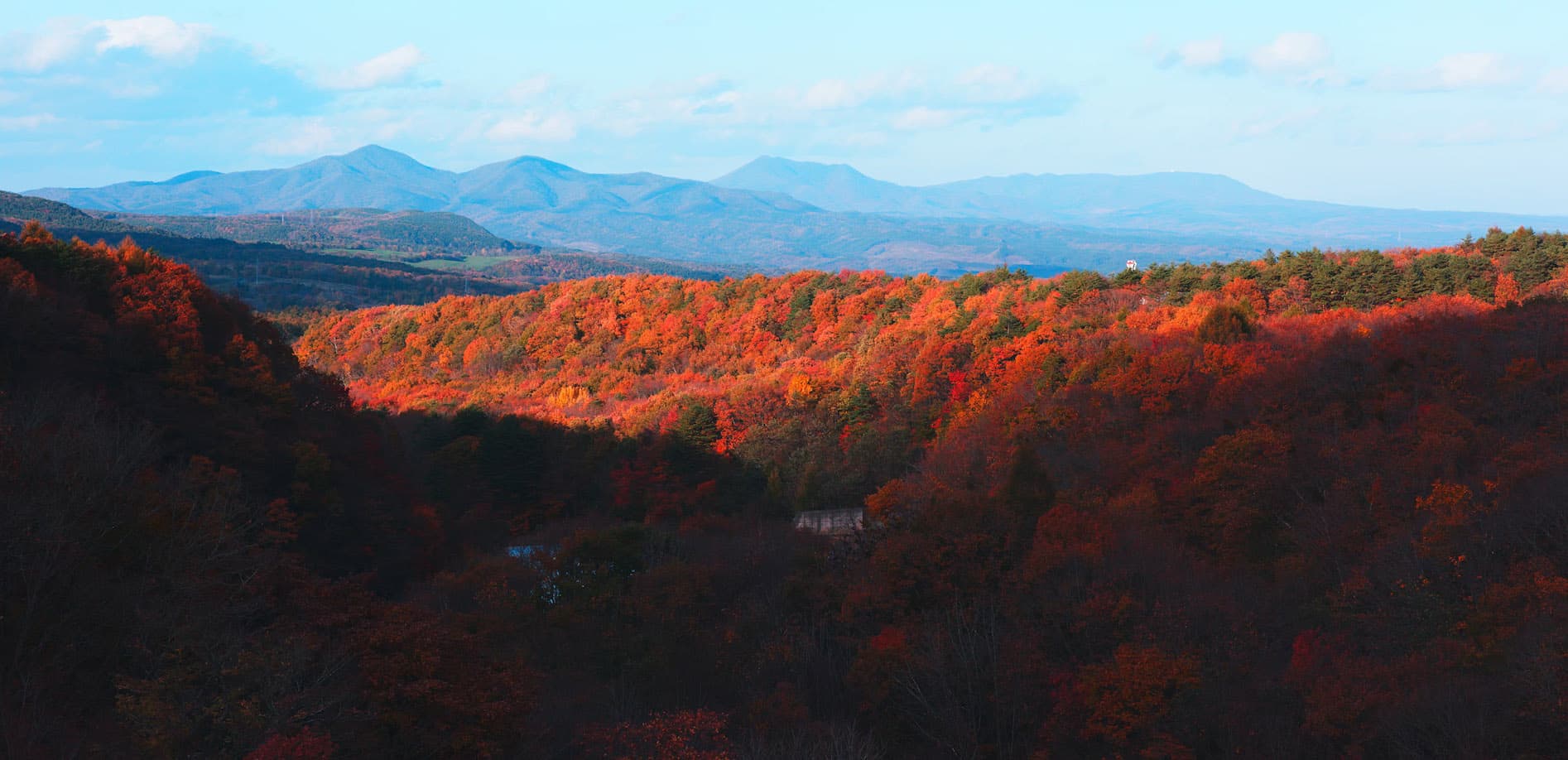 八幡平 秋の山々_8K