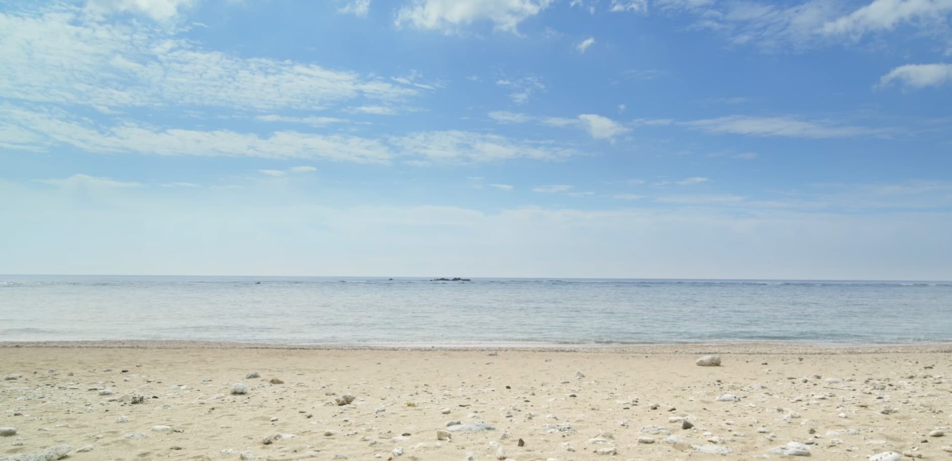 奄美の海