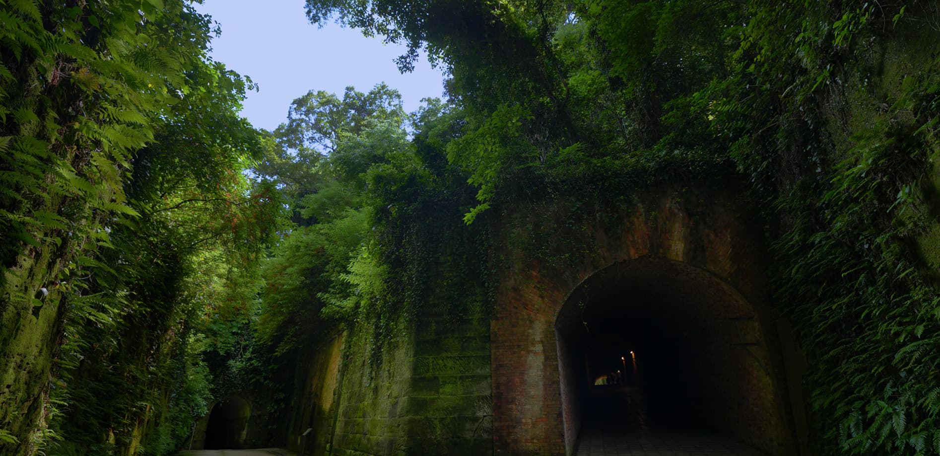無人島 猿島_8K